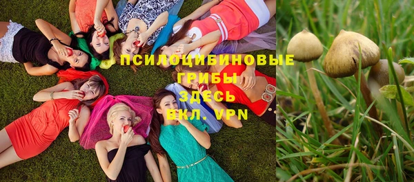 твердый Костерёво
