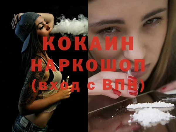 СК Коряжма