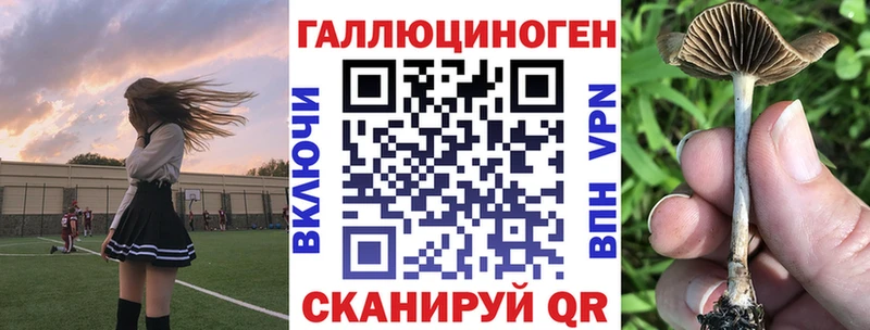 Псилоцибиновые грибы ЛСД Купить закладки Княгинино