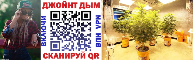Купить закладки  Княгинино  Каннабис семена 